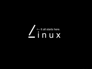 1- Linux Komut Satırı 1