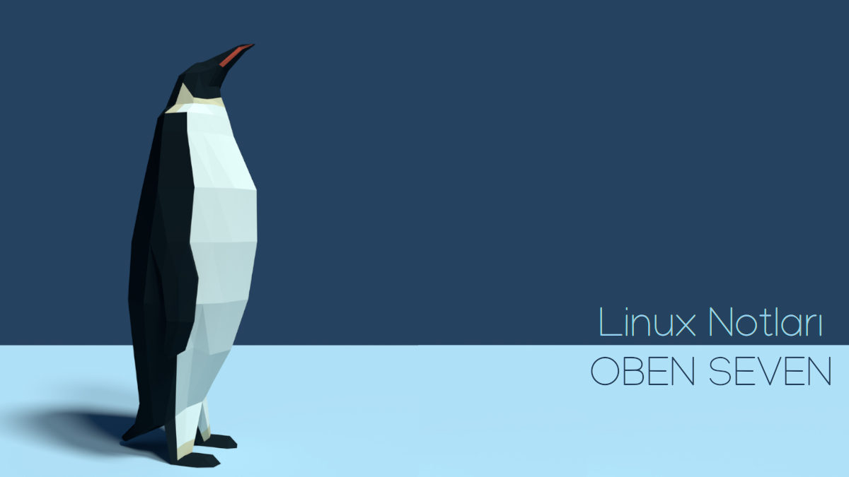 1- Linux Komut Satırı