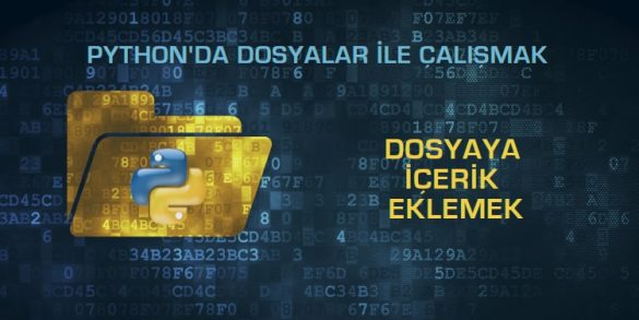 python dosya