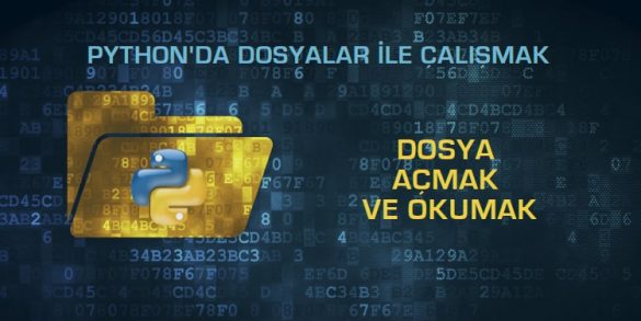 python dosya okumak